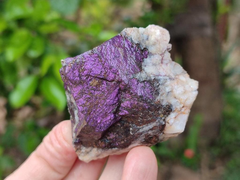 Natural Metallic Purpurite Specimens x 12 From Erongo, Namibia