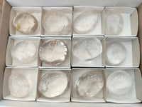 Polished Clear Rock Crystal Galets x 12 From Amoron’i Mania Madagascar