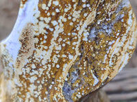 Hand Made Ocean Jasper Flame Carving x 1 From Madagascar