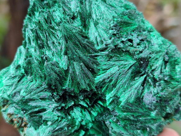Natural Silky Malachite Specimens x 6 From Kasompe, Congo