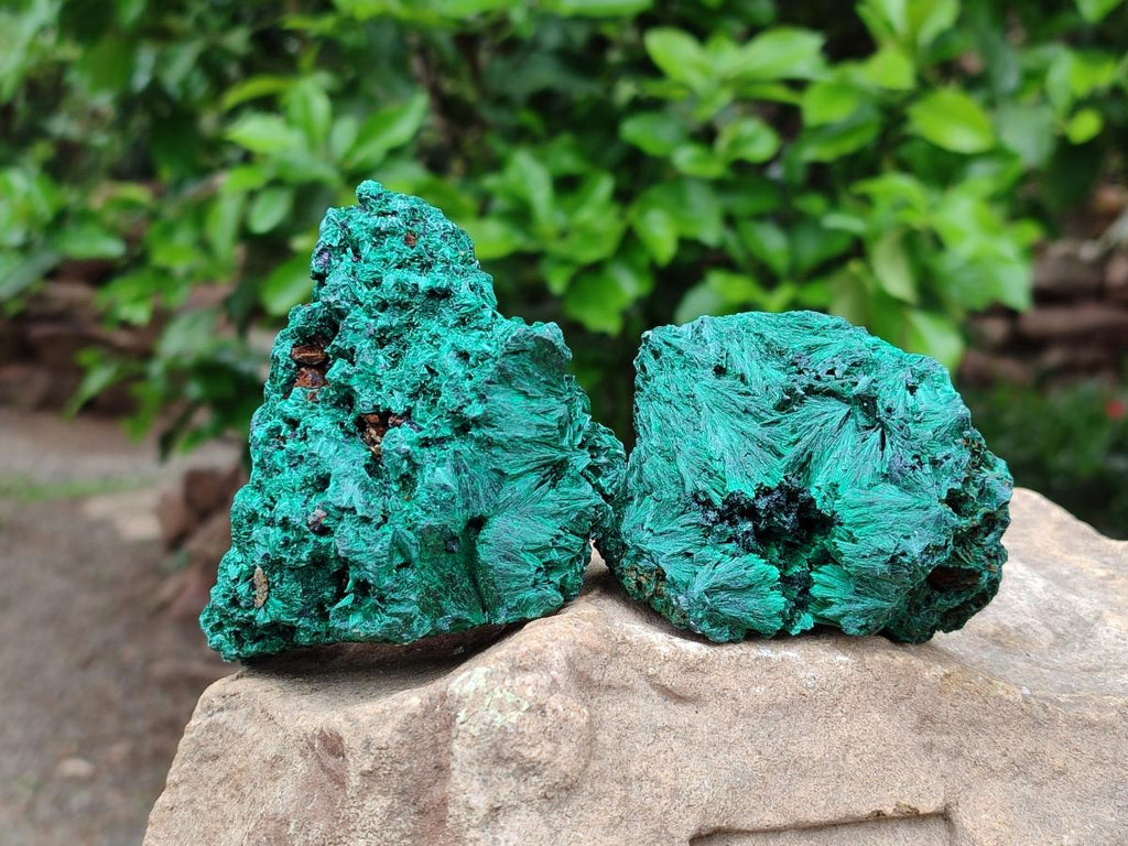 Natural Silky Malachite Specimens x 6 From Kasompe, Congo