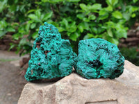 Natural Silky Malachite Specimens x 6 From Kasompe, Congo