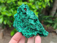 Natural Silky Malachite Specimens x 6 From Kasompe, Congo