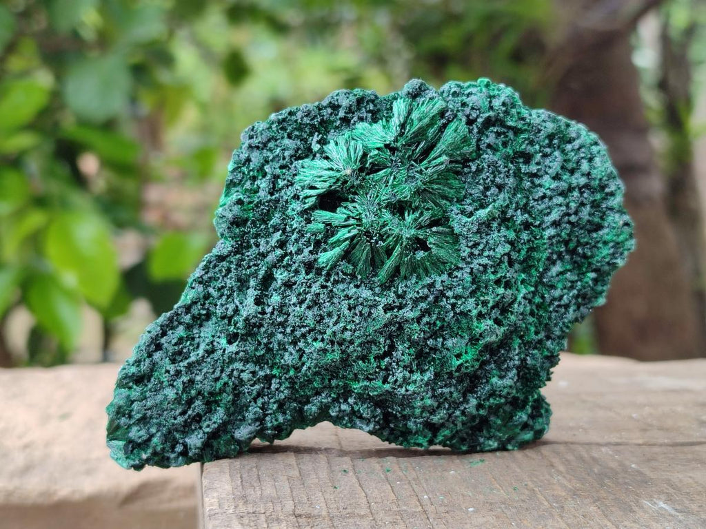 Natural Silky Malachite Specimens x 6 From Kasompe, Congo