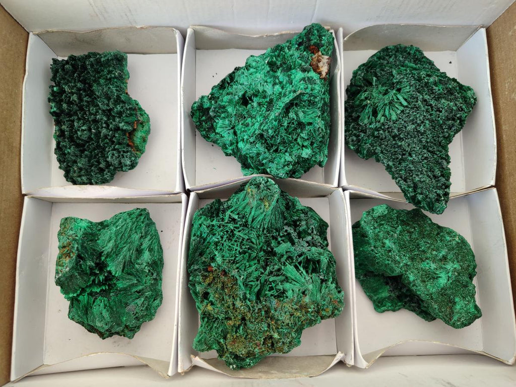 Natural Silky Malachite Specimens x 6 From Kasompe, Congo