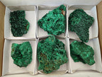 Natural Silky Malachite Specimens x 6 From Kasompe, Congo