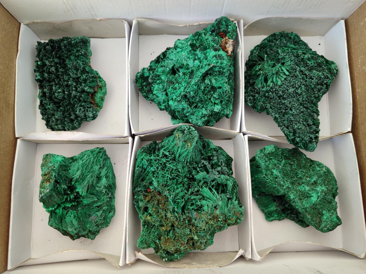 Natural Silky Malachite Specimens x 6 From Kasompe, Congo