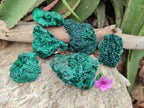 Natural Silky Malachite Specimens x 6 From Kasompe, Congo