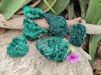 Natural Silky Malachite Specimens x 6 From Kasompe, Congo