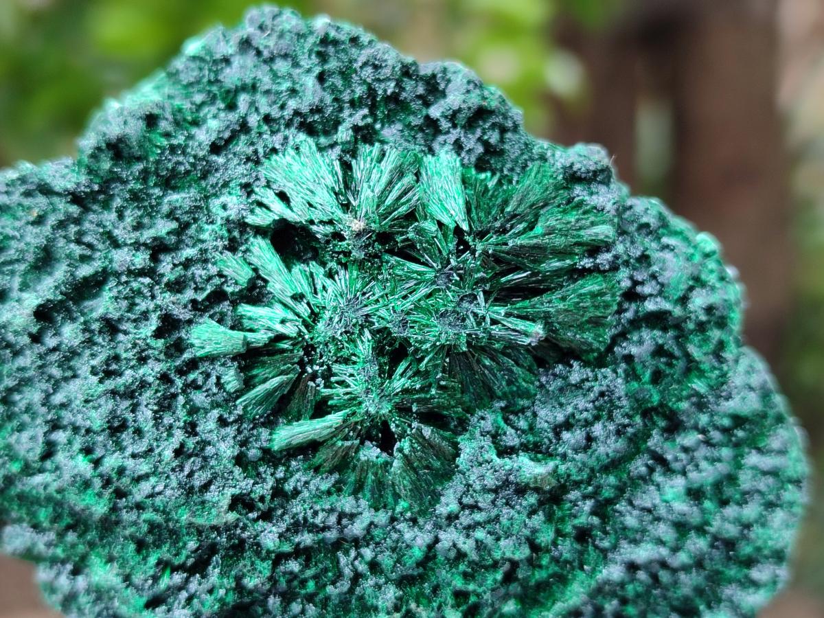 Natural Silky Malachite Specimens x 6 From Kasompe, Congo