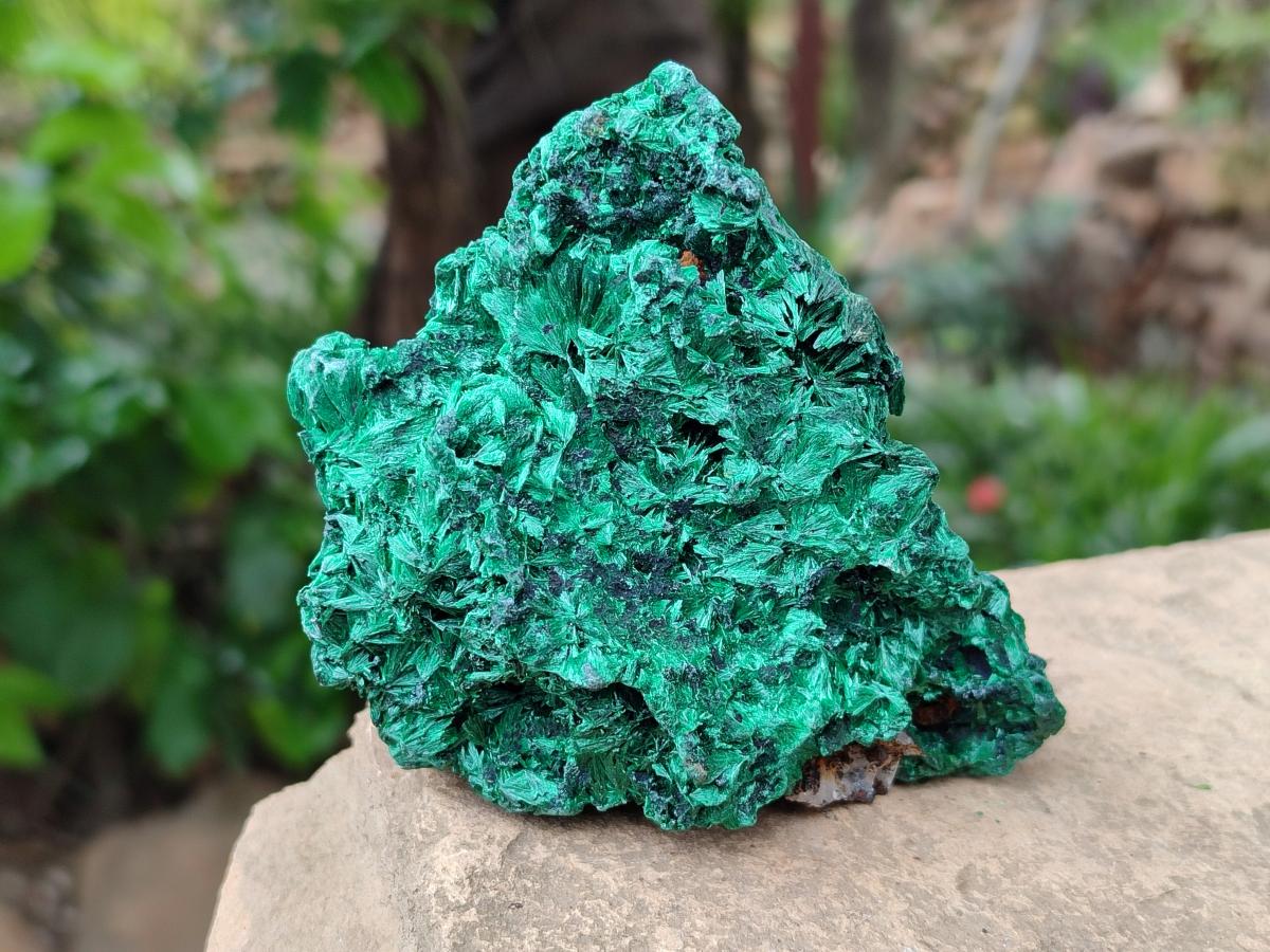 Natural Silky Malachite Specimens x 6 From Kasompe, Congo