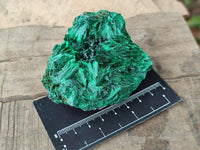 Natural Silky Malachite Specimens x 6 From Kasompe, Congo