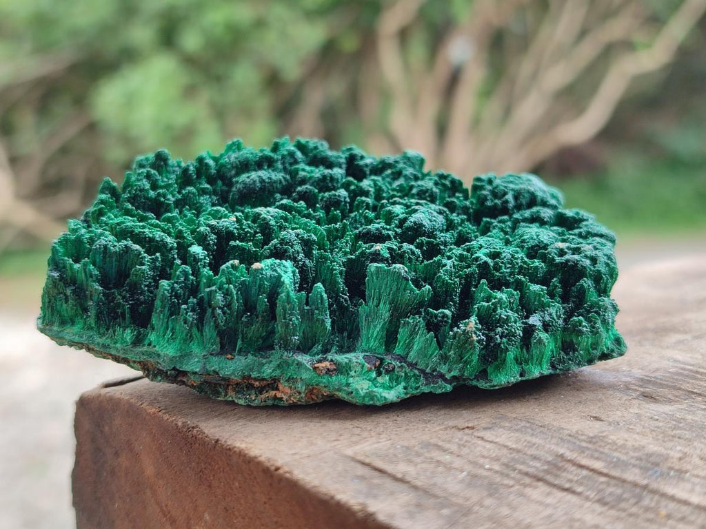 Natural Silky Malachite Specimens x 6 From Kasompe, Congo
