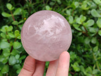 Polished Star Rose Quartz Spheres x 3 From Madagascar