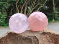 Polished Star Rose Quartz Spheres x 3 From Madagascar