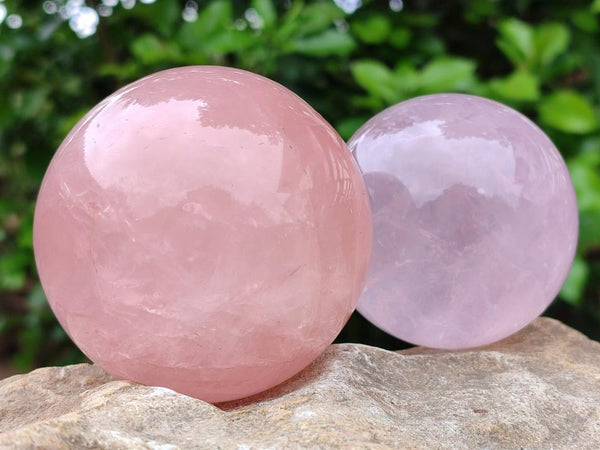 Polished Star Rose Quartz Spheres x 3 From Madagascar
