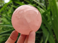 Polished Star Rose Quartz Spheres x 3 From Madagascar