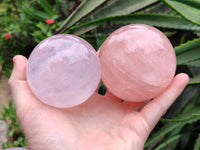 Polished Star Rose Quartz Spheres x 3 From Madagascar