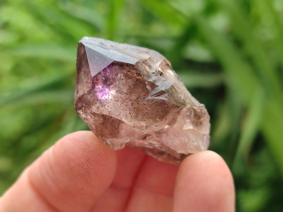 Natural Window Amethyst Crystals x 35 From Chiredzi, Zimbabwe