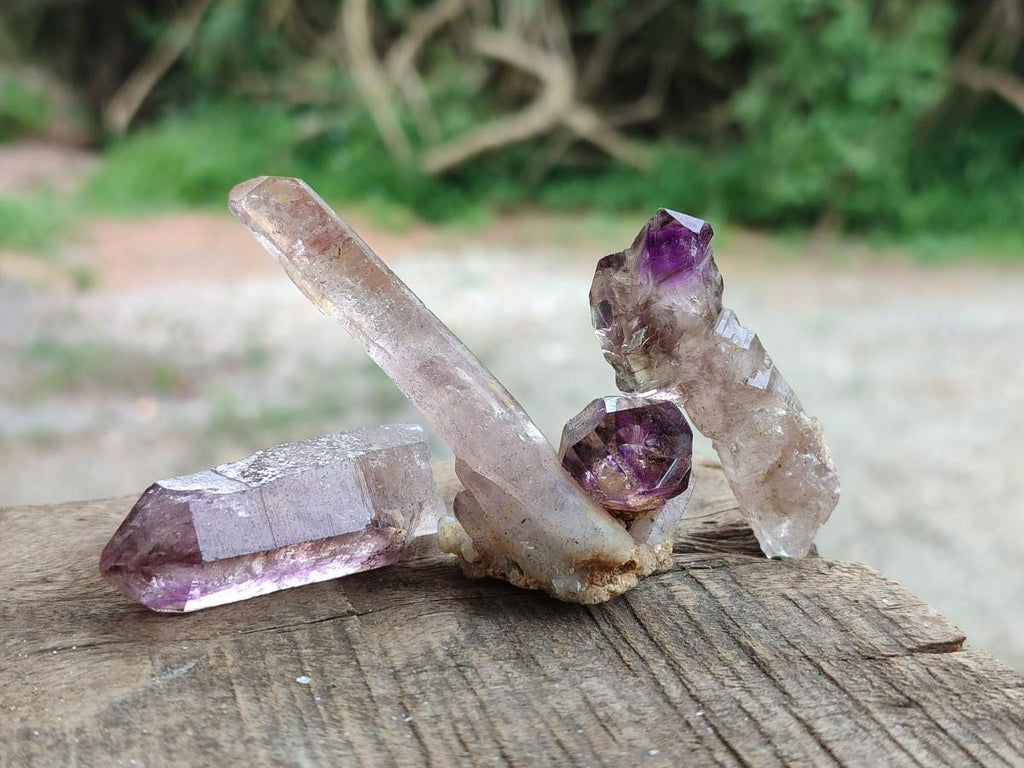 Natural Window Amethyst Crystals x 35 From Chiredzi, Zimbabwe