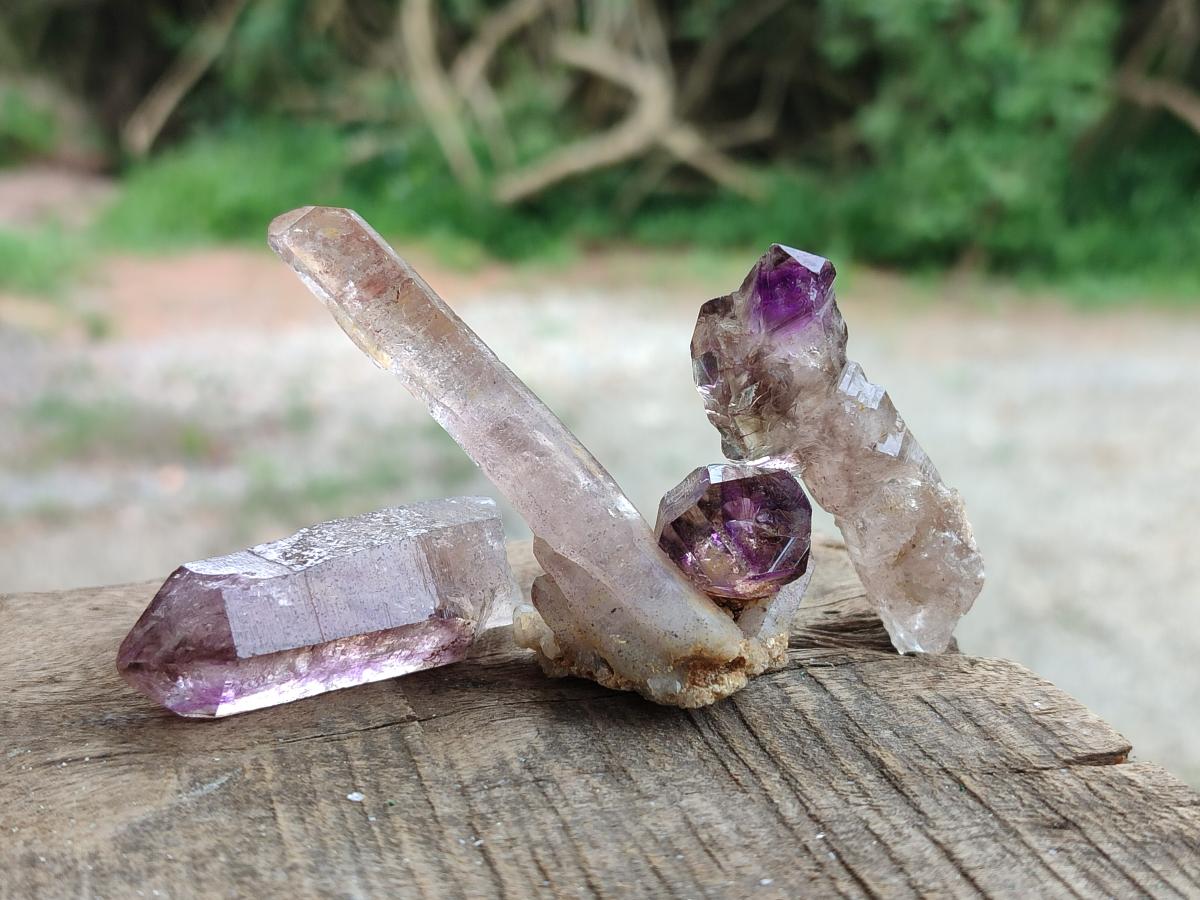 Natural Window Amethyst Crystals x 35 From Chiredzi, Zimbabwe