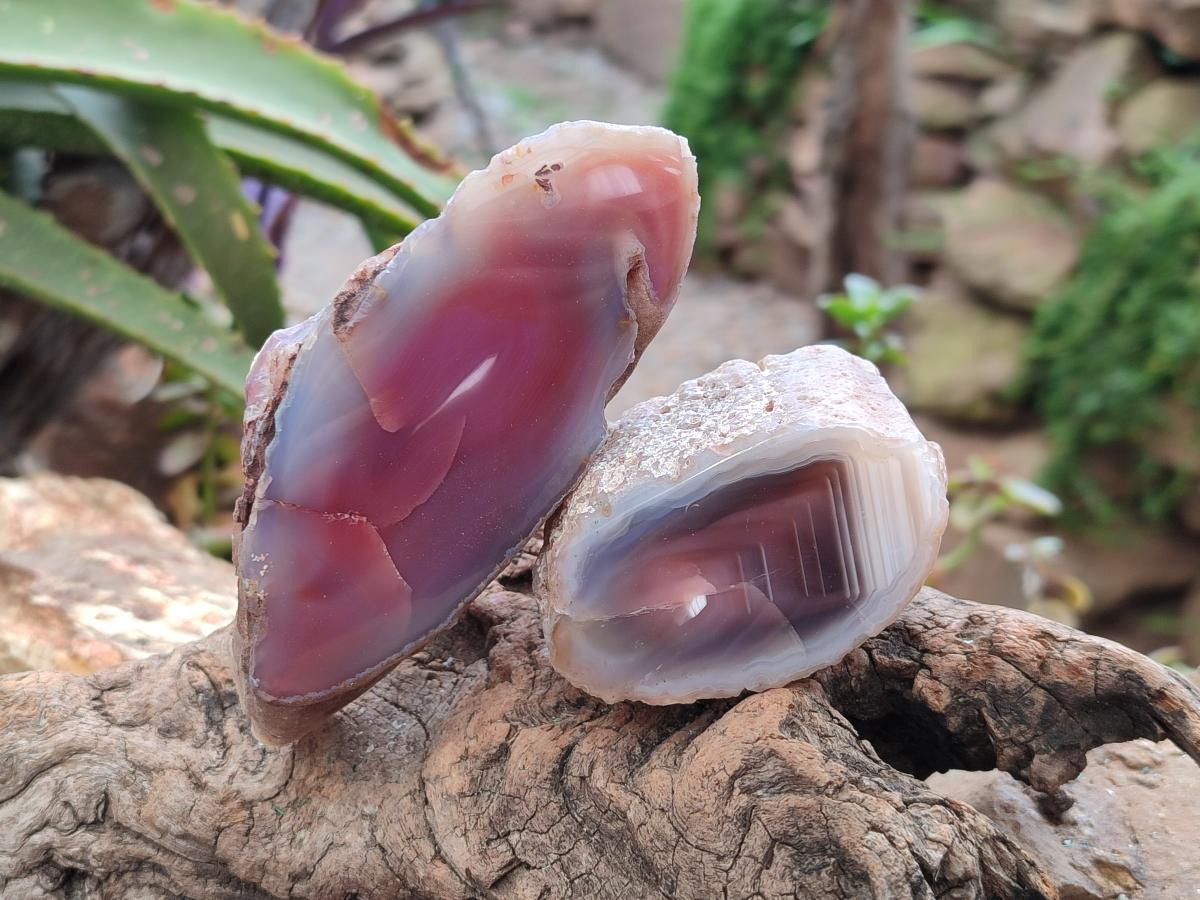 Polished On One Side Red Shashe River Agate Nodules x 12 From Shashe River, Zimbabwe