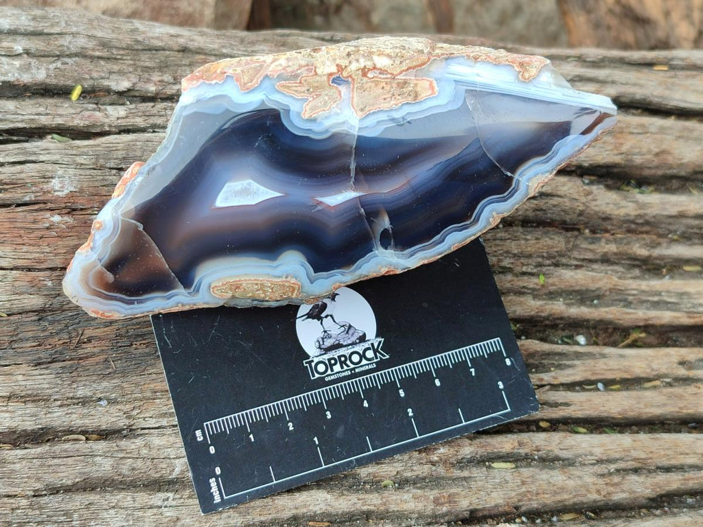 Polished On One Side Red Shashe River Agate Nodules x 12 From Shashe River, Zimbabwe