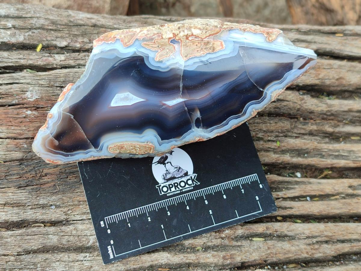 Polished On One Side Red Shashe River Agate Nodules x 12 From Shashe River, Zimbabwe