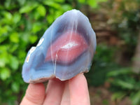 Polished On One Side Red Shashe River Agate Nodules x 12 From Shashe River, Zimbabwe