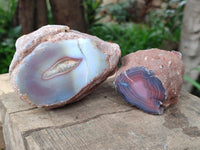 Polished On One Side Red Shashe River Agate Nodules x 12 From Shashe River, Zimbabwe