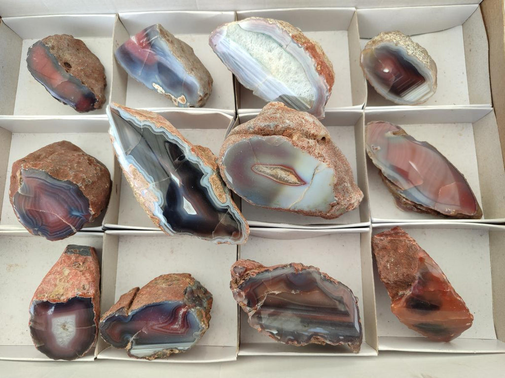 Polished On One Side Red Shashe River Agate Nodules x 12 From Shashe River, Zimbabwe