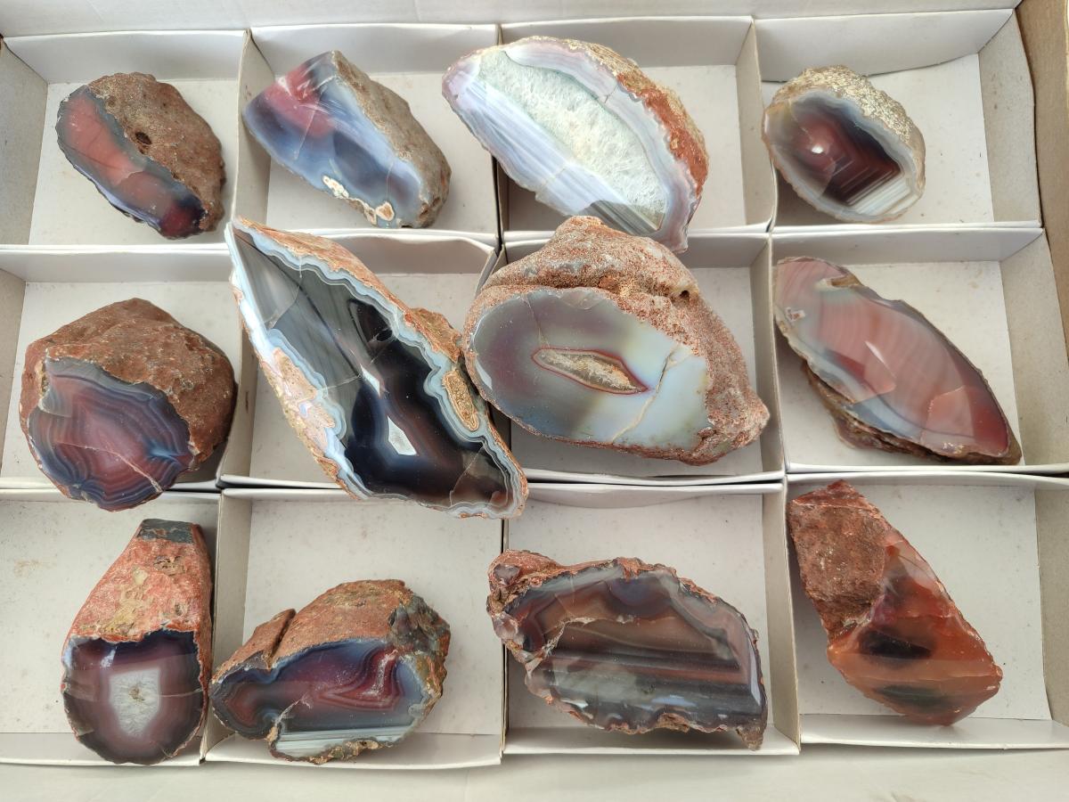 Polished On One Side Red Shashe River Agate Nodules x 12 From Shashe River, Zimbabwe