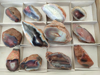 Polished On One Side Red Shashe River Agate Nodules x 12 From Shashe River, Zimbabwe