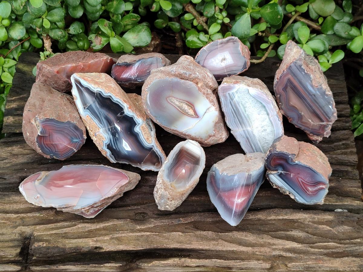 Polished On One Side Red Shashe River Agate Nodules x 12 From Shashe River, Zimbabwe