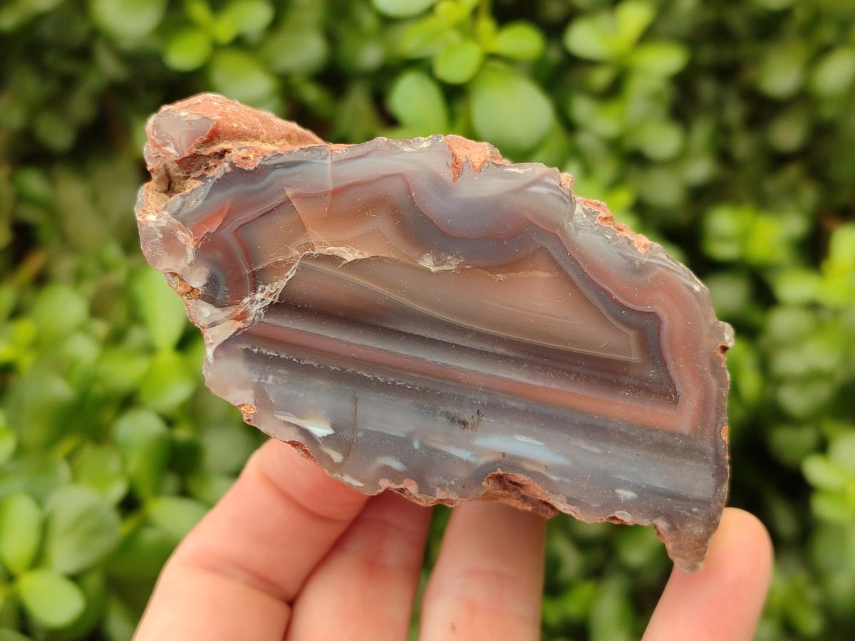 Polished On One Side Red Shashe River Agate Nodules x 12 From Shashe River, Zimbabwe