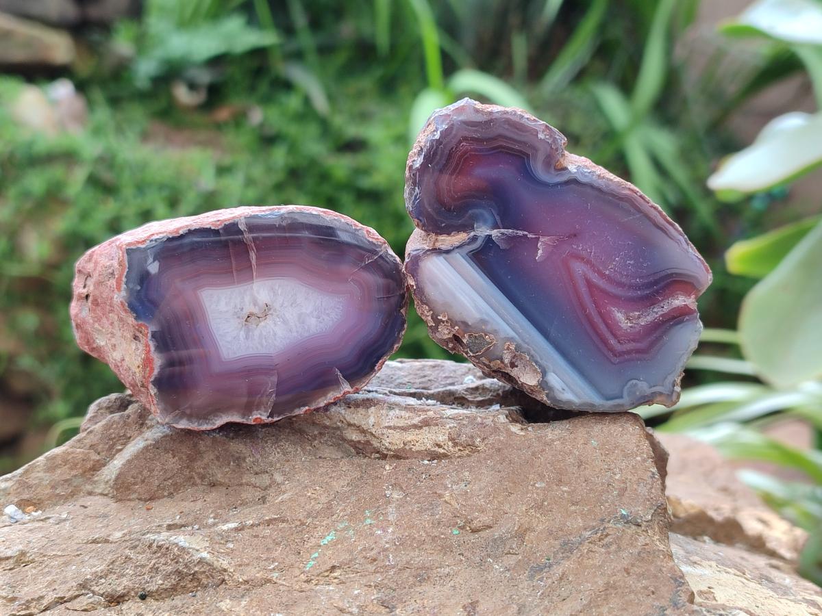 Polished On One Side Red Shashe River Agate Nodules x 12 From Shashe River, Zimbabwe