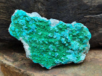 Natural Malachite Malacolla Botryoidal Chrysocolla Specimens x 2 From Kulukuluku, Congo