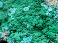 Natural Malachite Malacolla Botryoidal Chrysocolla Specimens x 2 From Kulukuluku, Congo