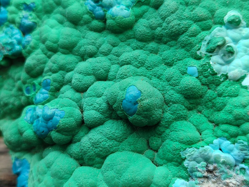 Natural Malachite Malacolla Botryoidal Chrysocolla Specimens x 2 From Kulukuluku, Congo
