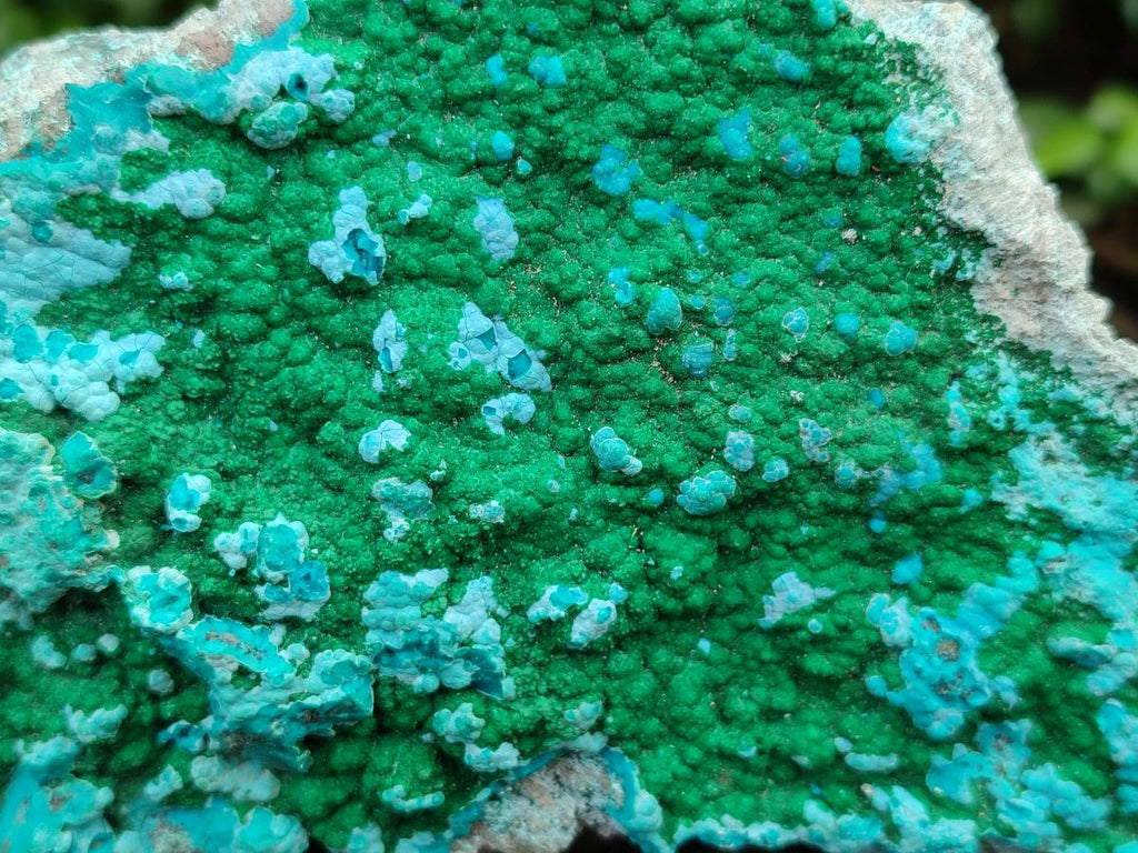 Natural Malachite Malacolla Botryoidal Chrysocolla Specimens x 2 From Kulukuluku, Congo