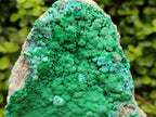 Natural Malachite Malacolla Botryoidal Chrysocolla Specimens x 2 From Kulukuluku, Congo