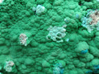 Natural Malachite Malacolla Botryoidal Chrysocolla Specimens x 2 From Kulukuluku, Congo