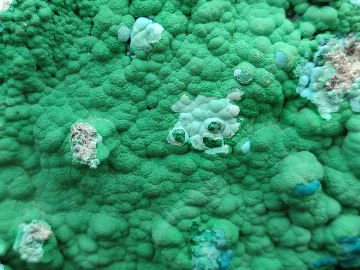 Natural Malachite Malacolla Botryoidal Chrysocolla Specimens x 2 From Kulukuluku, Congo