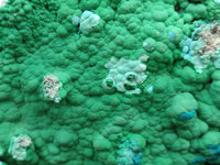 Natural Malachite Malacolla Botryoidal Chrysocolla Specimens x 2 From Kulukuluku, Congo