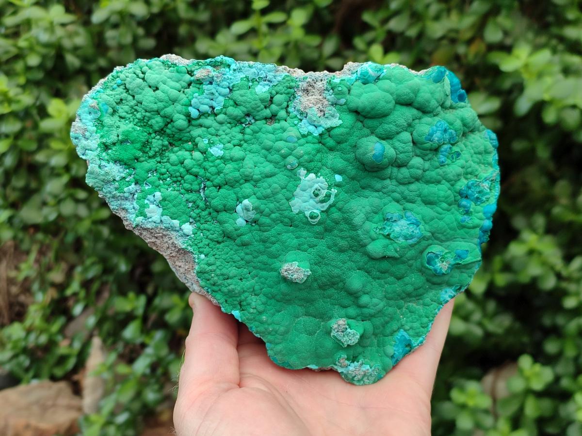 Natural Malachite Malacolla Botryoidal Chrysocolla Specimens x 2 From Kulukuluku, Congo