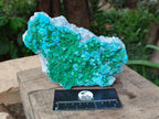 Natural Malachite Malacolla Botryoidal Chrysocolla Specimens x 2 From Kulukuluku, Congo