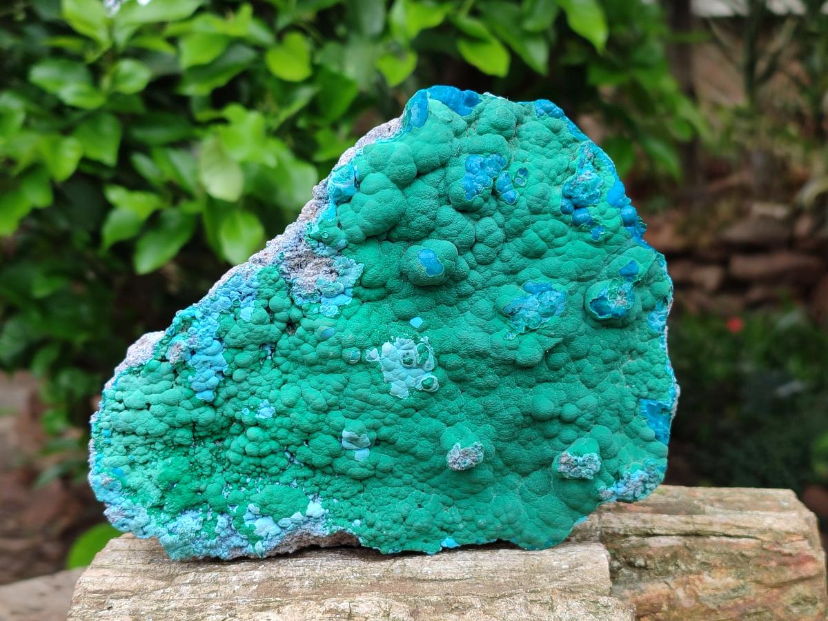 Natural Malachite Malacolla Botryoidal Chrysocolla Specimens x 2 From Kulukuluku, Congo
