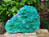 Natural Malachite Malacolla Botryoidal Chrysocolla Specimens x 2 From Kulukuluku, Congo