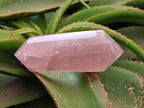 Polished Double Terminated Rose Quartz Crystals x 3 From Madagascar - Toprock Gemstones and Minerals 