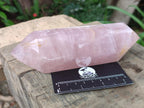 Polished Double Terminated Rose Quartz Crystals x 3 From Madagascar - Toprock Gemstones and Minerals 